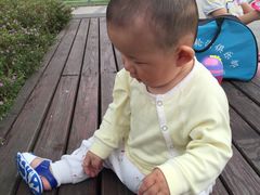 -洪湖家庭农场·团建·露营·会议