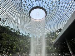 -上海浦东国际机场-T2航站楼