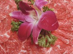 -犇鼎牛潮汕牛肉火锅(新辰里学清路店)