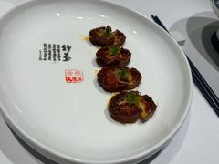 -云境生态园(高新旗舰店)