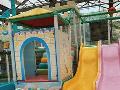 -南宫五洲植物乐园