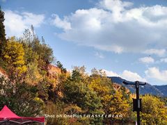 -彩色沙林风景区