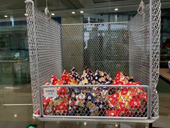 -柴务处·柴犬主题狗咖