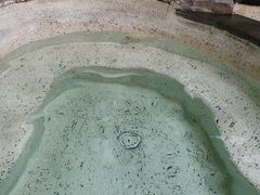 -海口观澜湖火山温泉谷