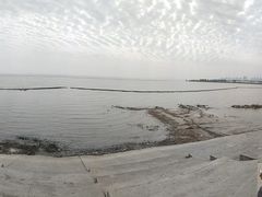 -合肥滨湖国家森林公园