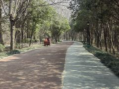 -禹州森林植物园