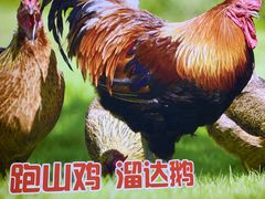 -锅老头海鲜铁锅炖