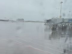 -石家庄正定国际机场-T2航站楼