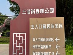 -王借岗森林公园