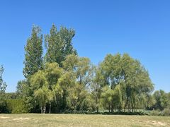 -西安浐灞国家湿地公园