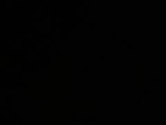 -方掌柜·主席武昌鱼地标湖北菜(黄鹤楼百年店)