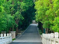 -同里国家湿地公园