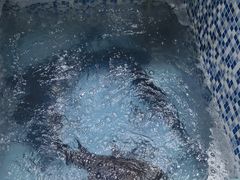 -全乐鱼馆·淳牌有机鱼直营店