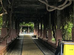 -山东大学(千佛山校区)