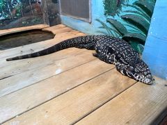 -石家庄市动物园