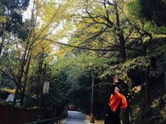 -金堂县云顶石城风景区