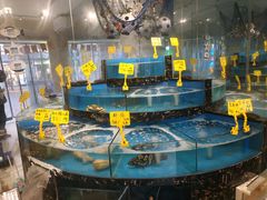 -丁字口海鲜热炒·烧烤大排档