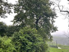 -乌石村