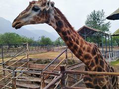 -西安秦岭野生动物园