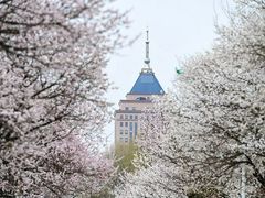 -吉林大学(南岭校区)