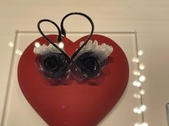 -BLACKSWAN黑天鹅(新希望店)