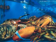 -三旗百汇商品城