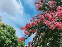 -杭州城北体育公园