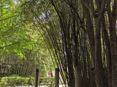 -户县老龙窝酒厂