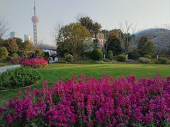 -北外滩滨江绿地