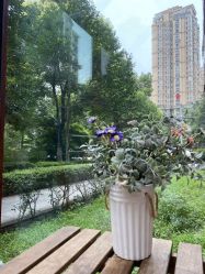 -JC·YOGA静禅瑜伽普拉提