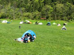 -武陵山森林公园