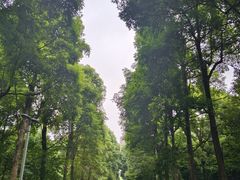 -龙头寺公园
