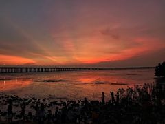 -宝安西湾红树林湿地公园