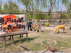 -西青郊野公园