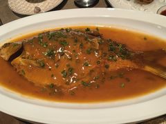 葱烧武鲳鱼-曾宴·楚菜(湖北省博物馆店)