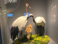 -长江文明馆