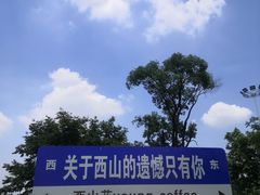 -西山漾湿地公园