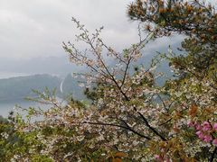 -千岛湖东南湖区