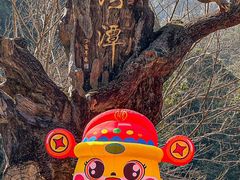 -龙湾潭国家森林公园