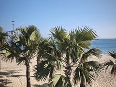 -大梅沙海滨公园