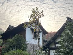 -中国茶叶博物馆(双峰馆区)