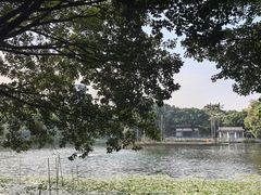 -荔湾湖公园