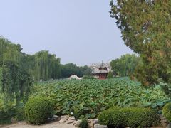 -莲池书院博物馆