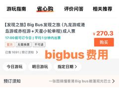 -Big Bus Tours 敞篷观光巴士