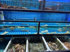 -吉友粥底火锅(方斜路店)