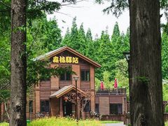 -黄海国家森林公园