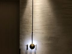 -东阿阿胶文化酒店