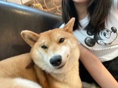 -小时光咖啡馆(北锣鼓巷店)