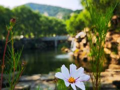 -云蒙山风景区