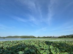 -云龙湖旅游景区